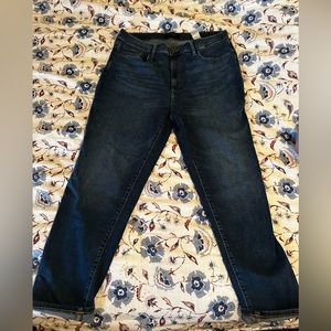 Curvy Girlfriend Banana Republic Jeans